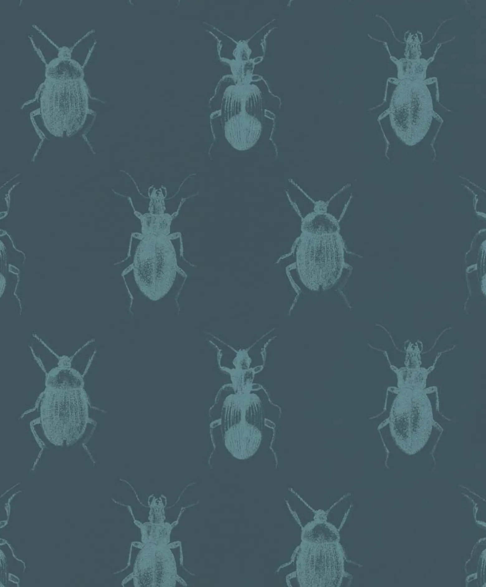 Tapete Käfer Insekt dunkelblau blau Rasch Textil 289533