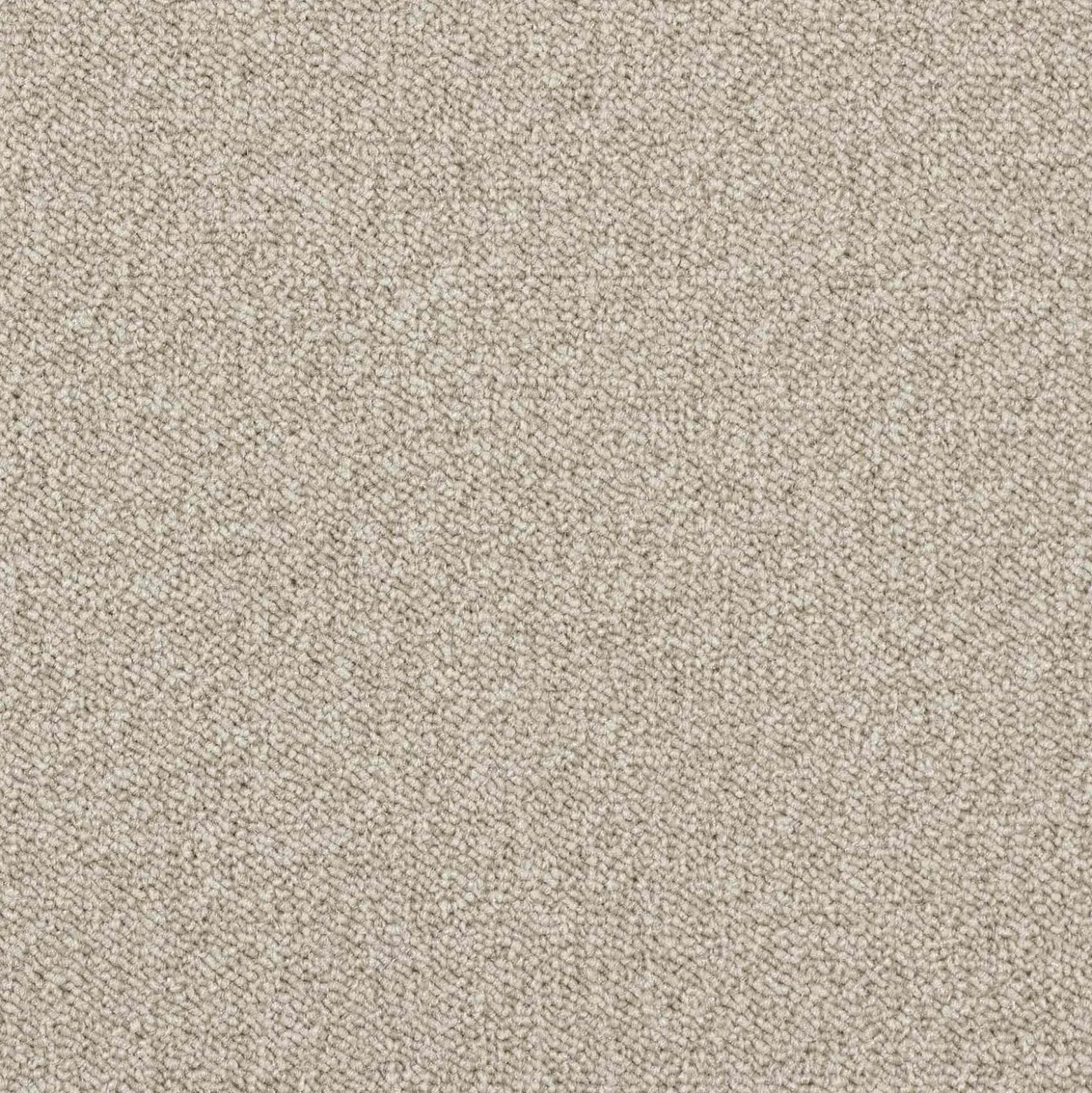 Teppichfliese Maxima Gewerbe 50 x 50 cm Teppichboden