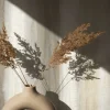 Vliestapete Aquarell Streifen Beige Creme Braun 34427