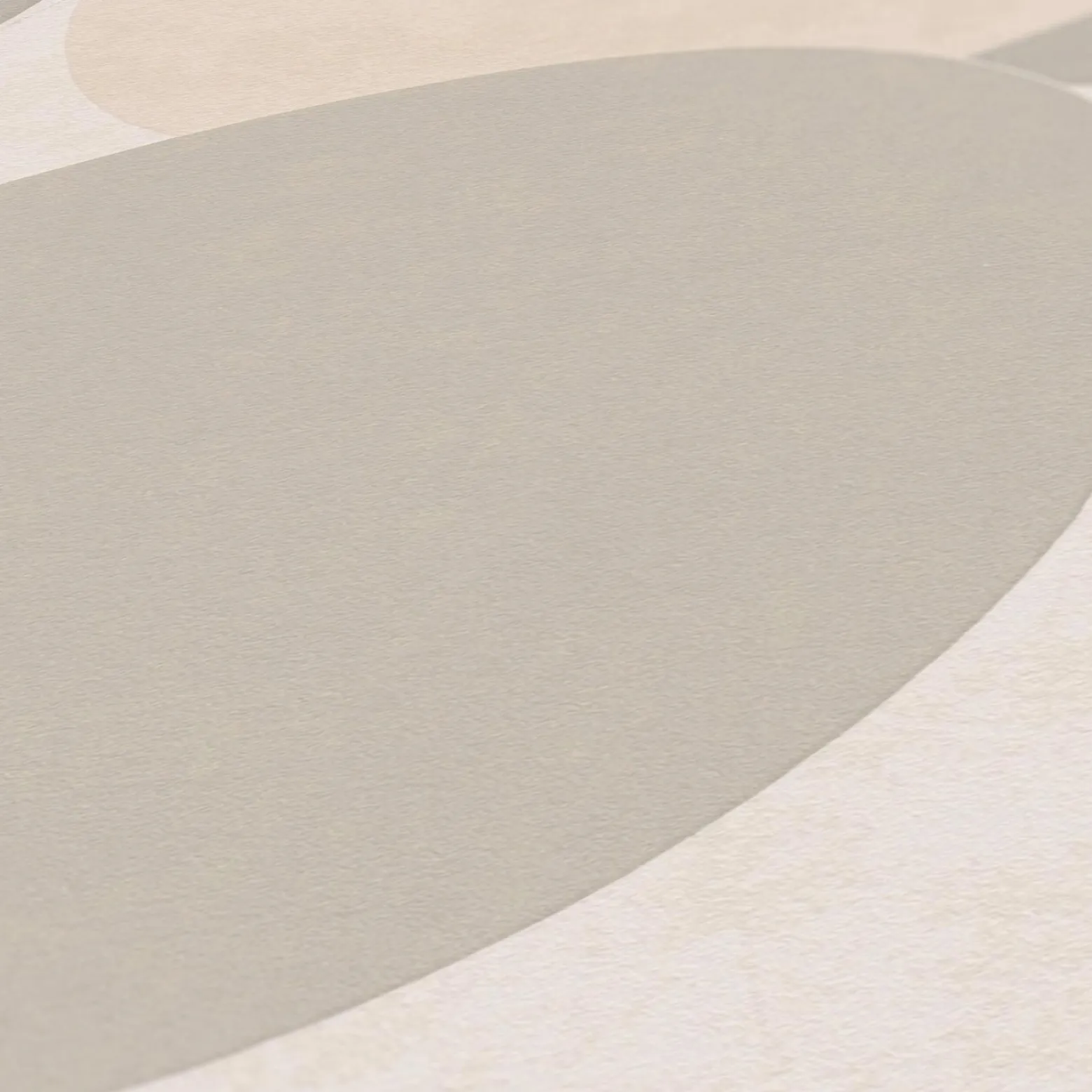 Vliestapete AS Creation Grau Beige Kreise 385954