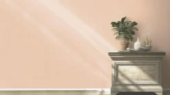 Vliestapete Barbara HOME Uni rosa 536836