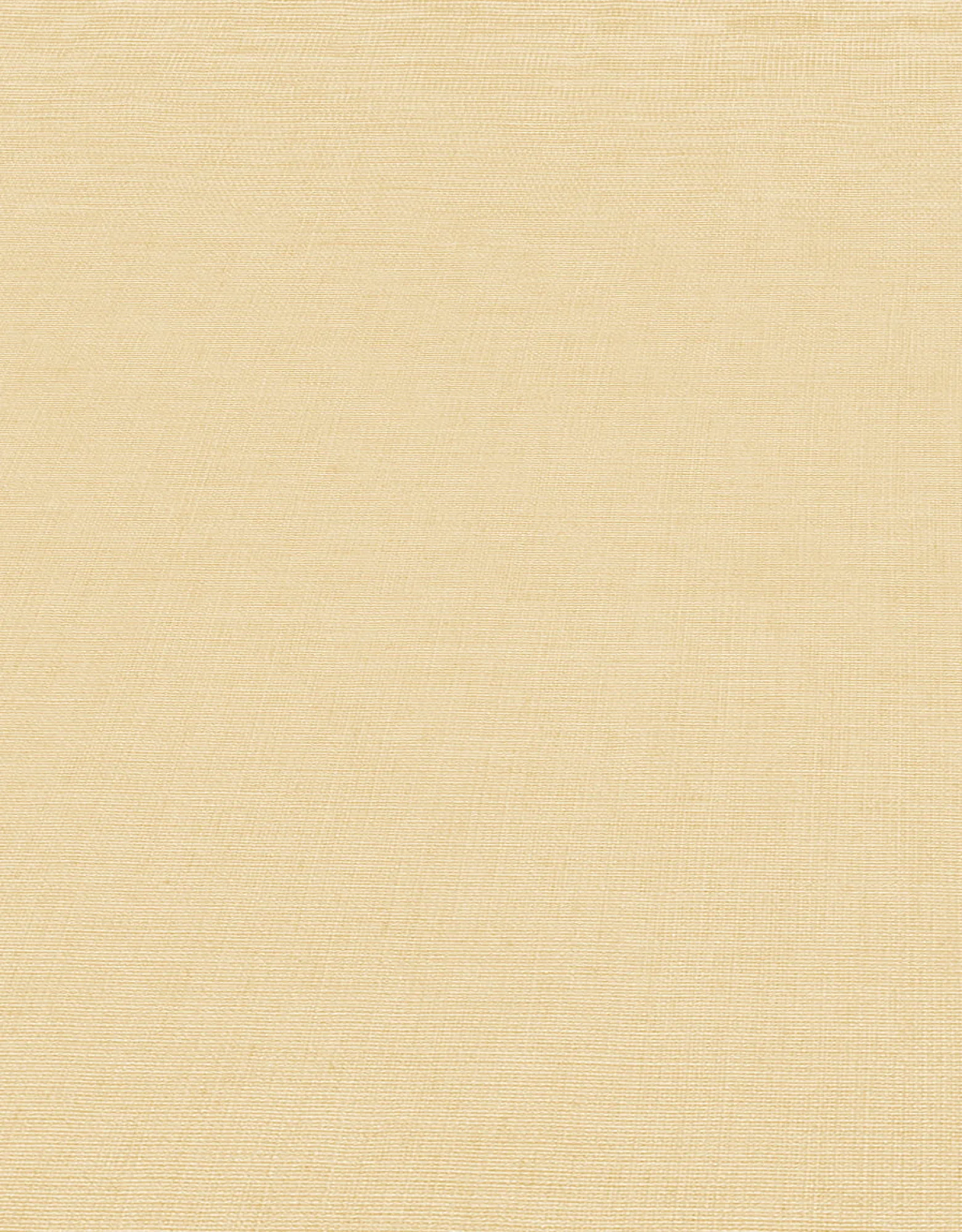 Vliestapete Beige Uni 10262-02 Casual Chic Erismann