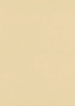 Vliestapete Beige Uni 10262-02 Casual Chic Erismann