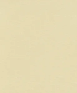 Vliestapete Beige Uni 10262-02 Casual Chic Erismann