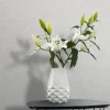 Vliestapete Betonoptik Shabby Weiß Grau 35161