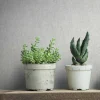 Vliestapete Betonoptik Shabby Industrial Grau 35137