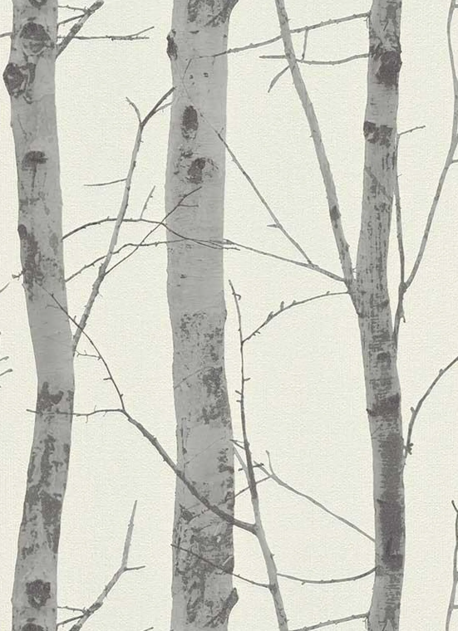 Vliestapete Birke Baum weiß grau Instawalls 5433-47