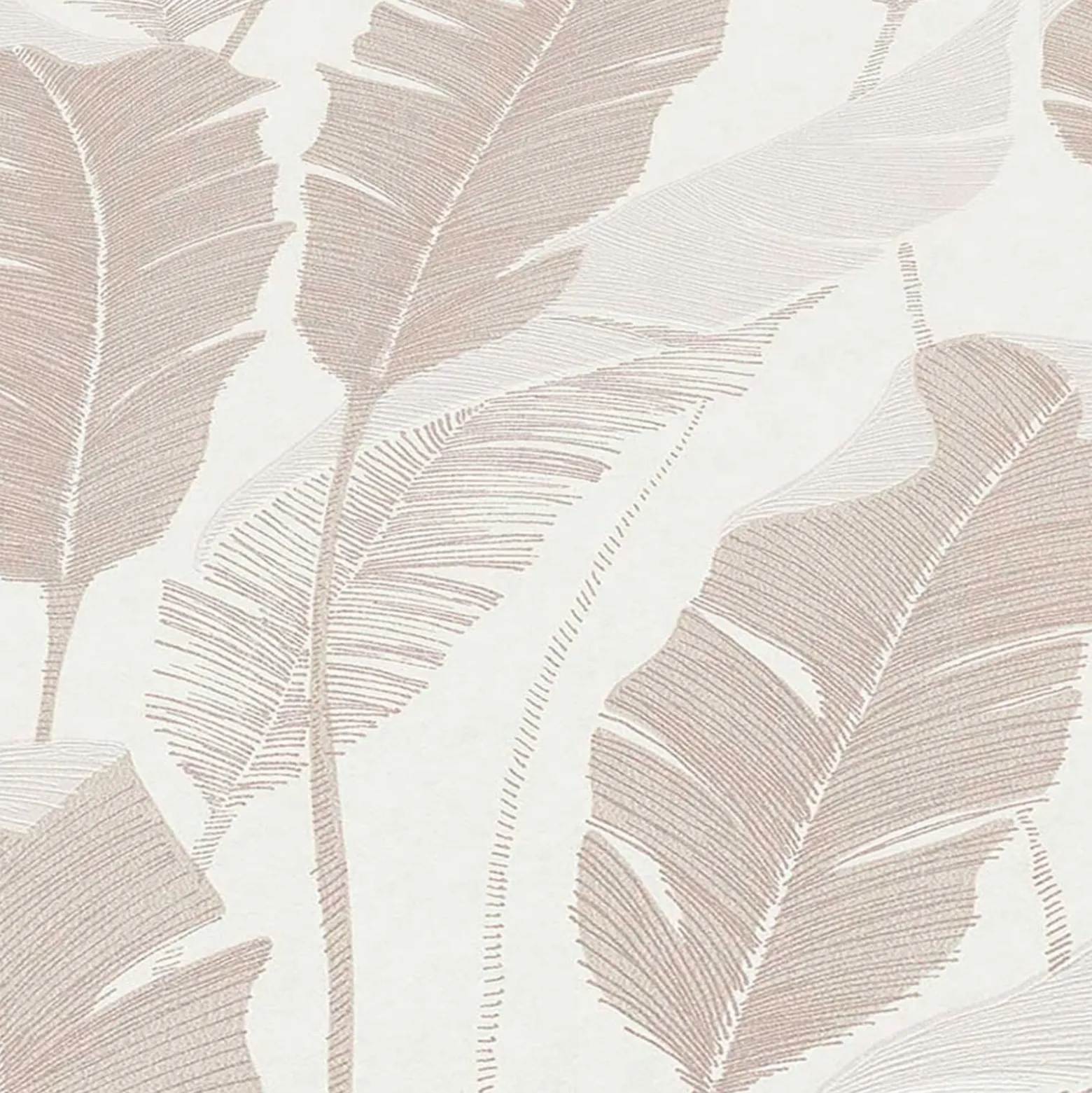 Vliestapete Blattmuster Weiß Creme Metallic 10344-02
