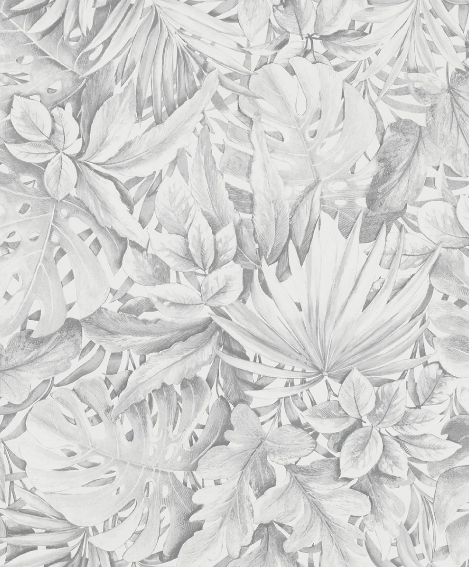 Vliestapete Blätter Dschungel Floral grau weiß 33308