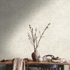 Vliestapete Blätter Farne Metallic Creme Silber 39120-2