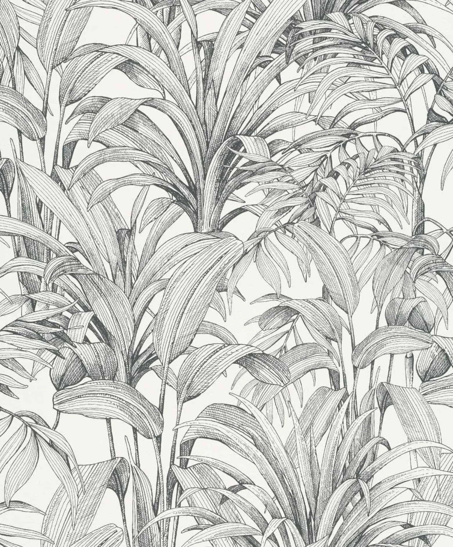 Vliestapete Blätter Illustration Weiß Schwarz A51401