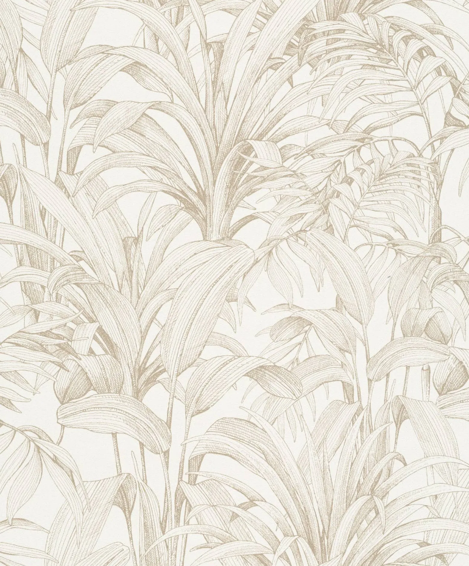 Vliestapete Blätter Illustration Creme Gold A51402