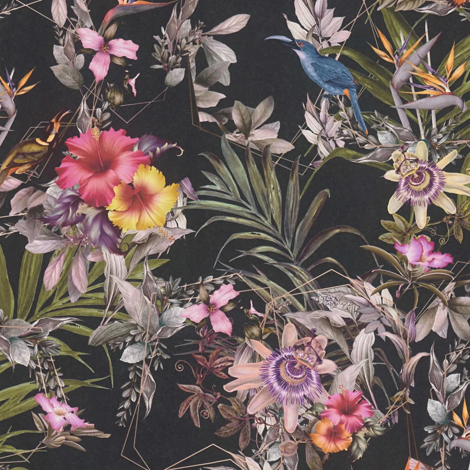 Vliestapete Blumen Vögel Floral schwarz bunt 38178-1