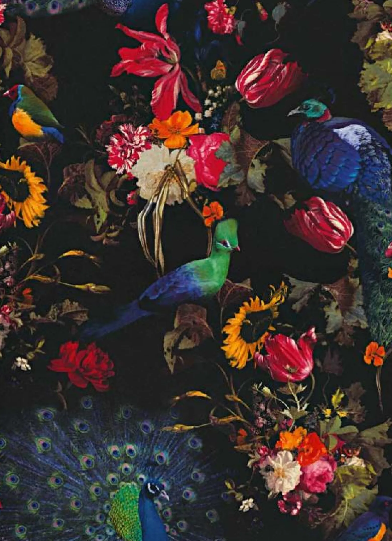 Vliestapete Blumen Vogel schwarz bunt Instawalls 6371-15