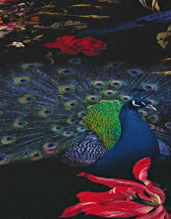Vliestapete Blumen Vogel schwarz bunt Instawalls 6371-15