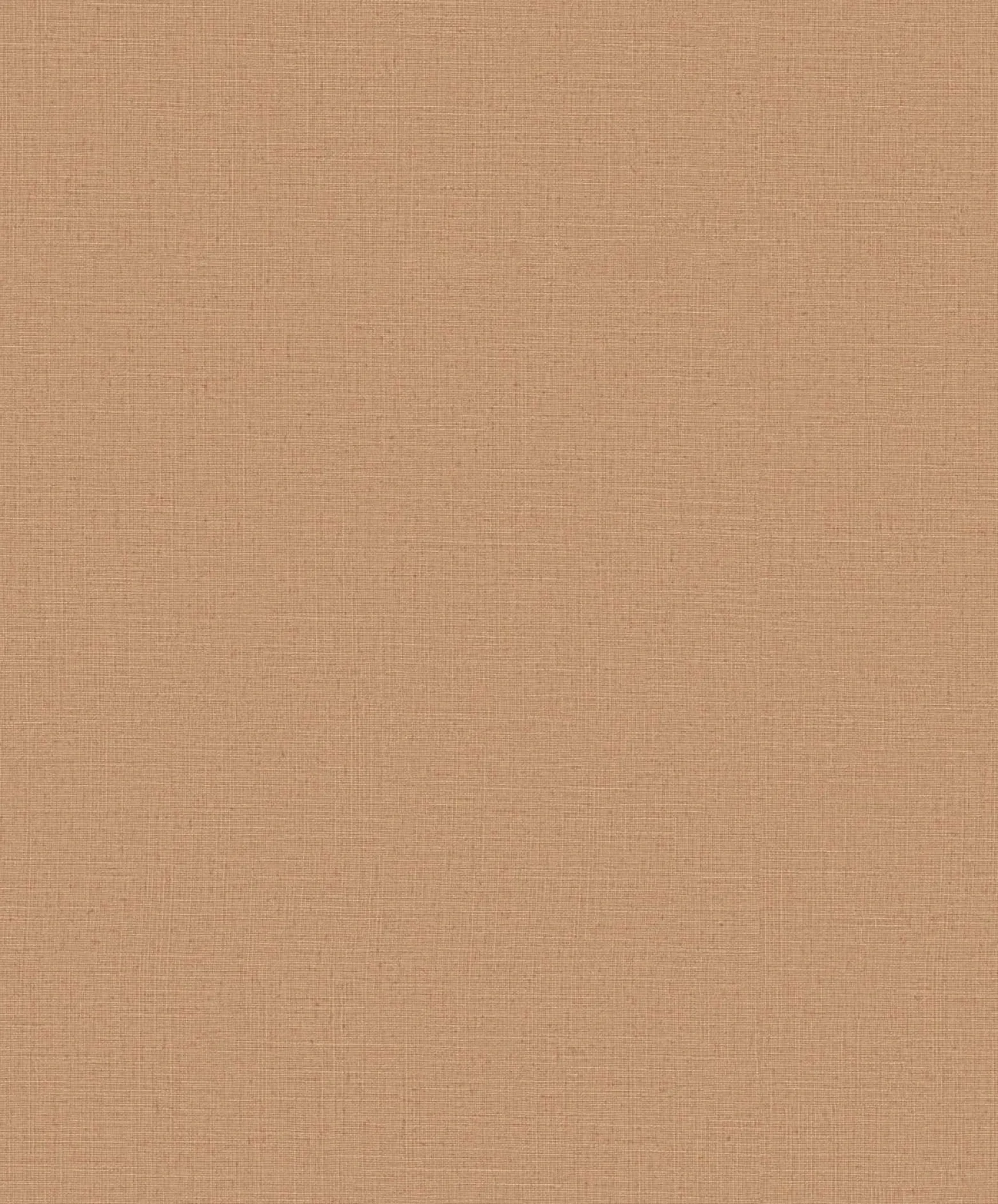 Vliestapete Braun Uni 10262-11 Casual Chic Erismann