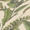 Vliestapete Dschungel Blätter Creme Grün 39413-2