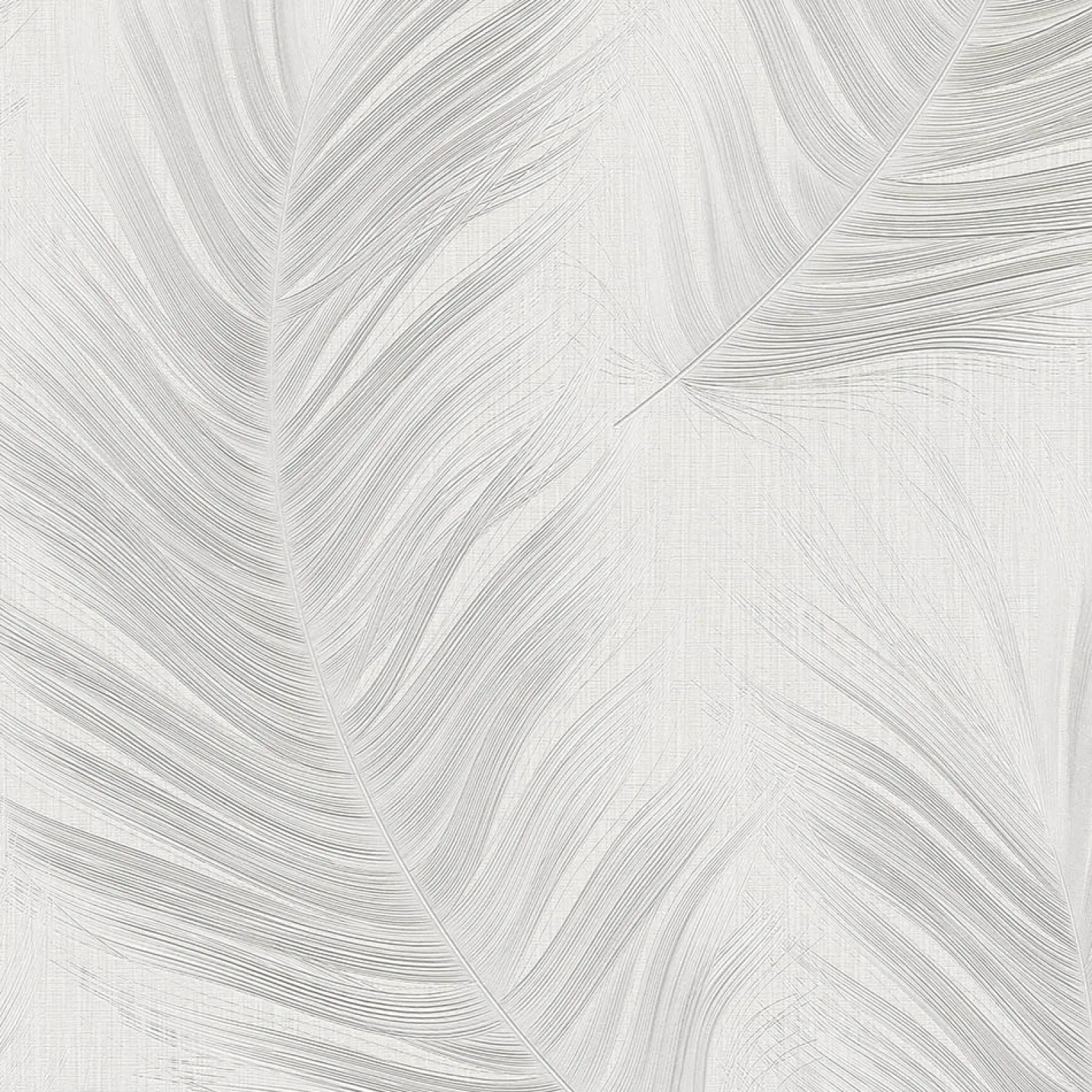 Vliestapete Federn Grau Creme Glitzer 10516-31