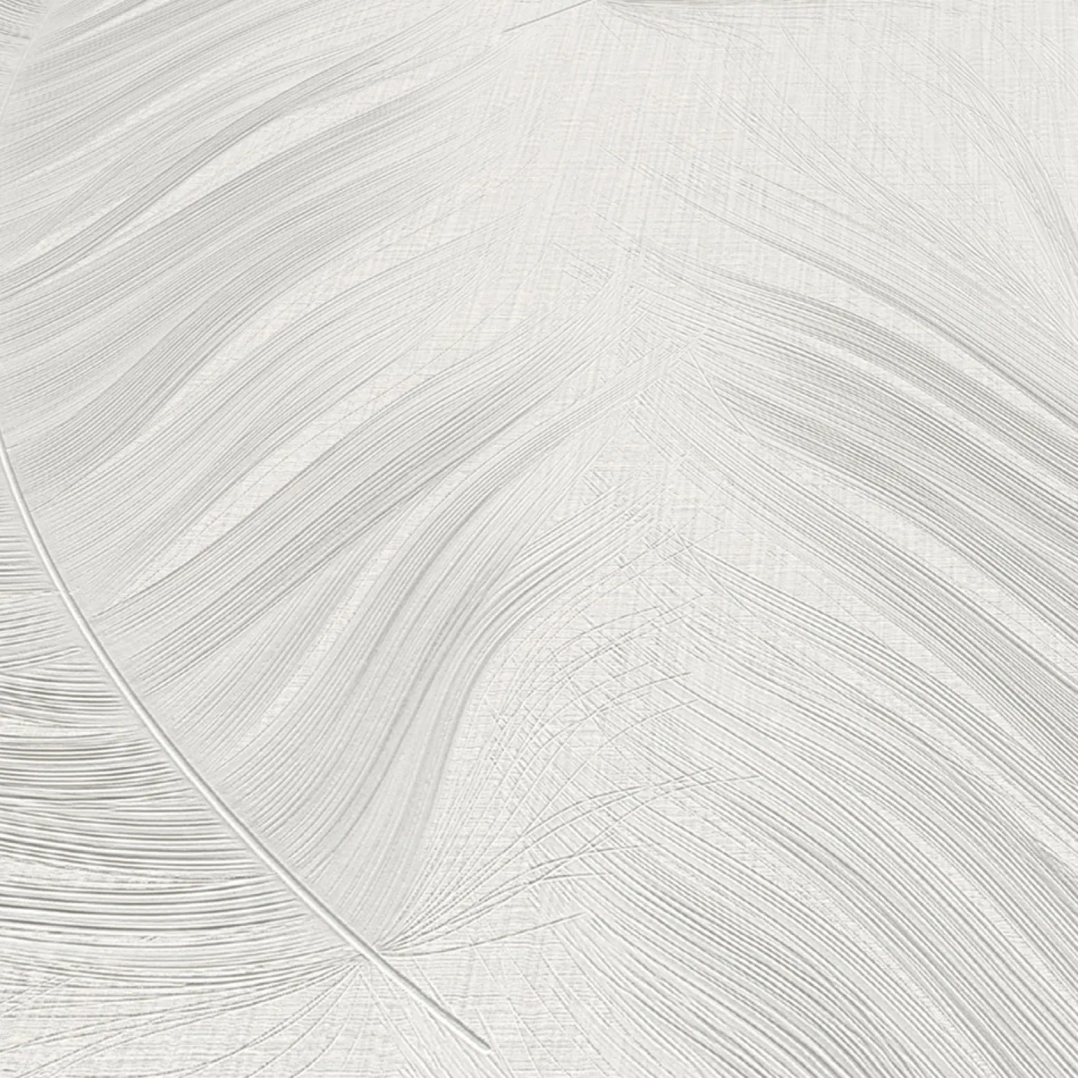 Vliestapete Federn Grau Creme Glitzer 10516-31
