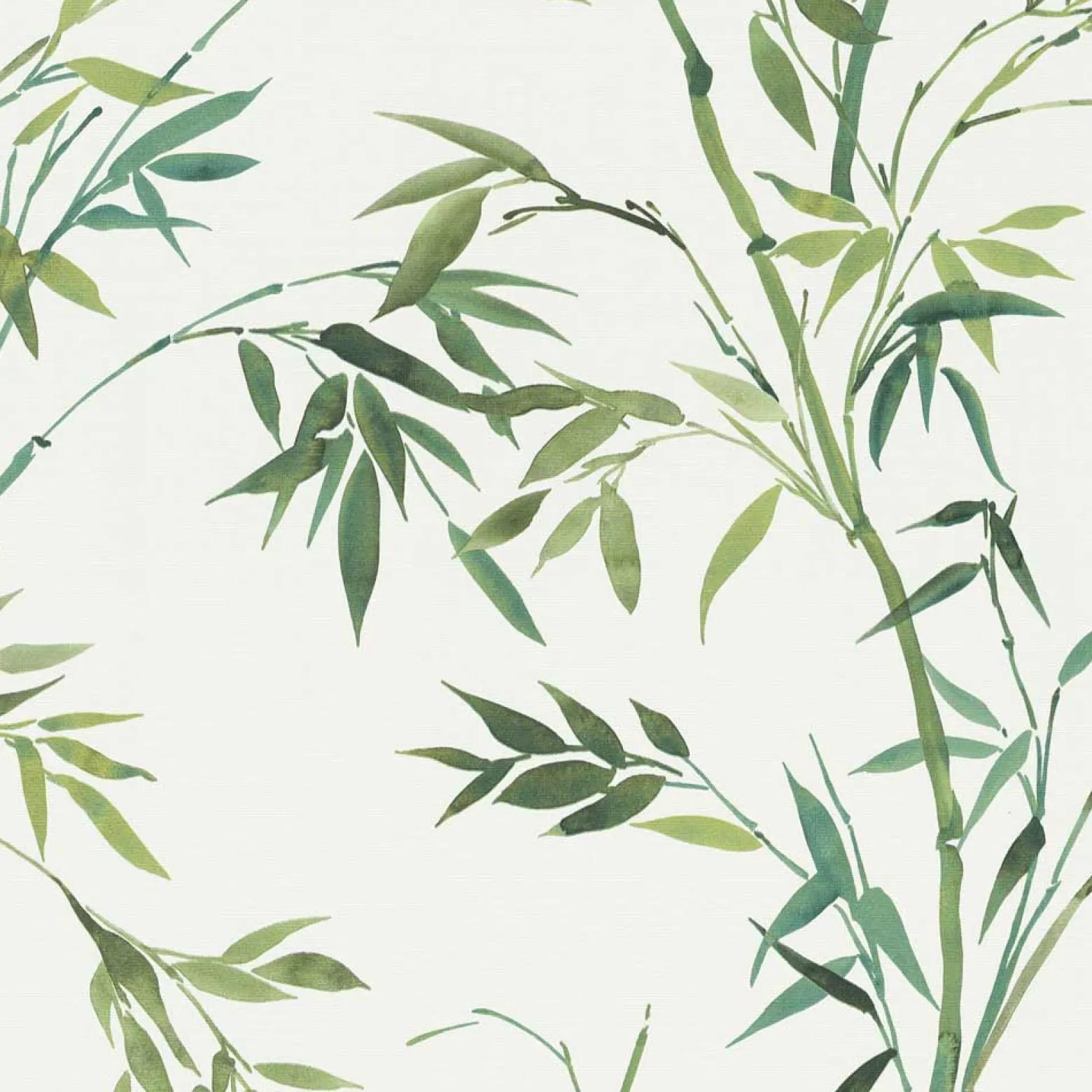 Vliestapete Floral Bambus Motiv Weiß Grün 10388-07