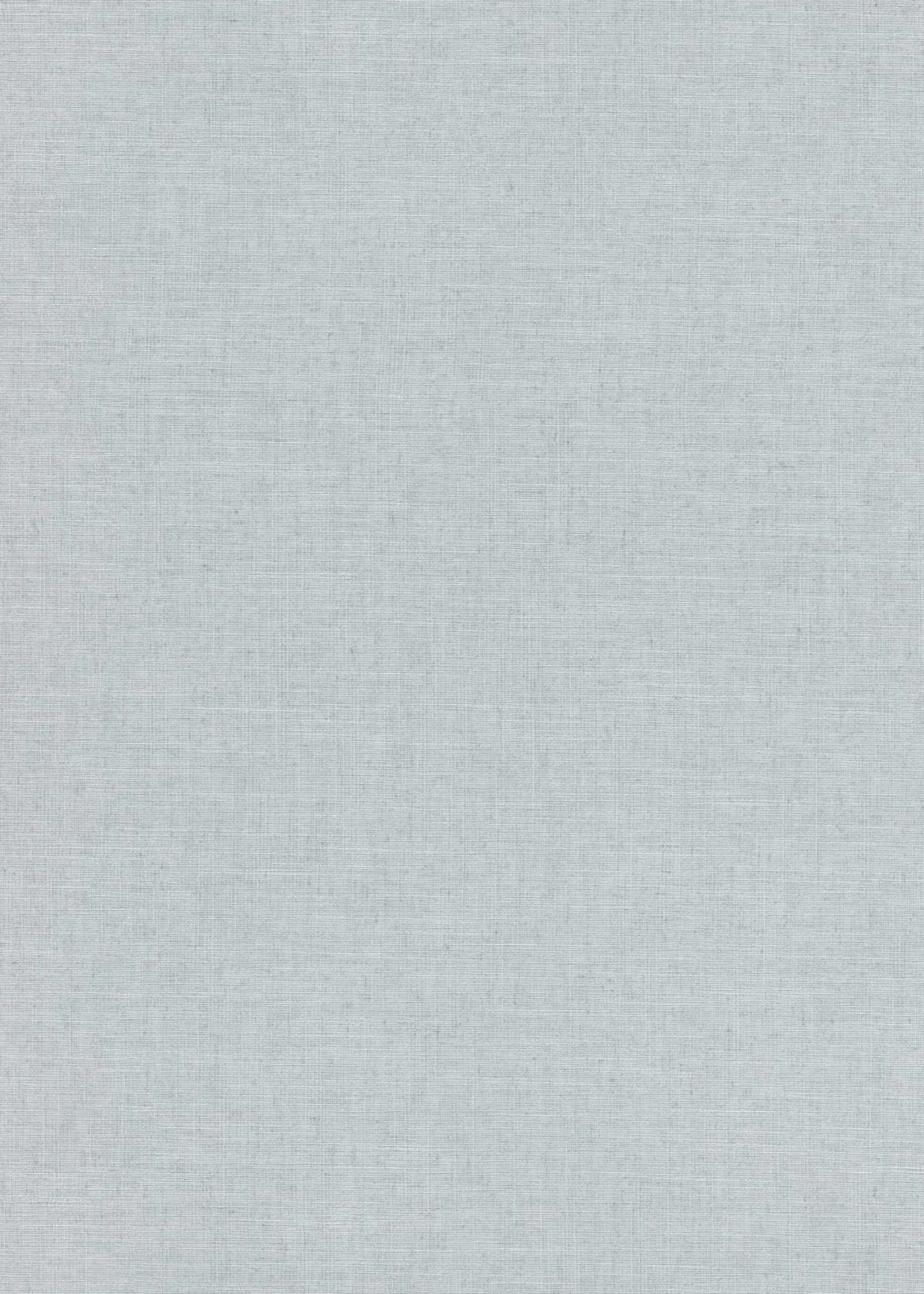 Vliestapete Grau Uni 10262-31 Casual Chic Erismann