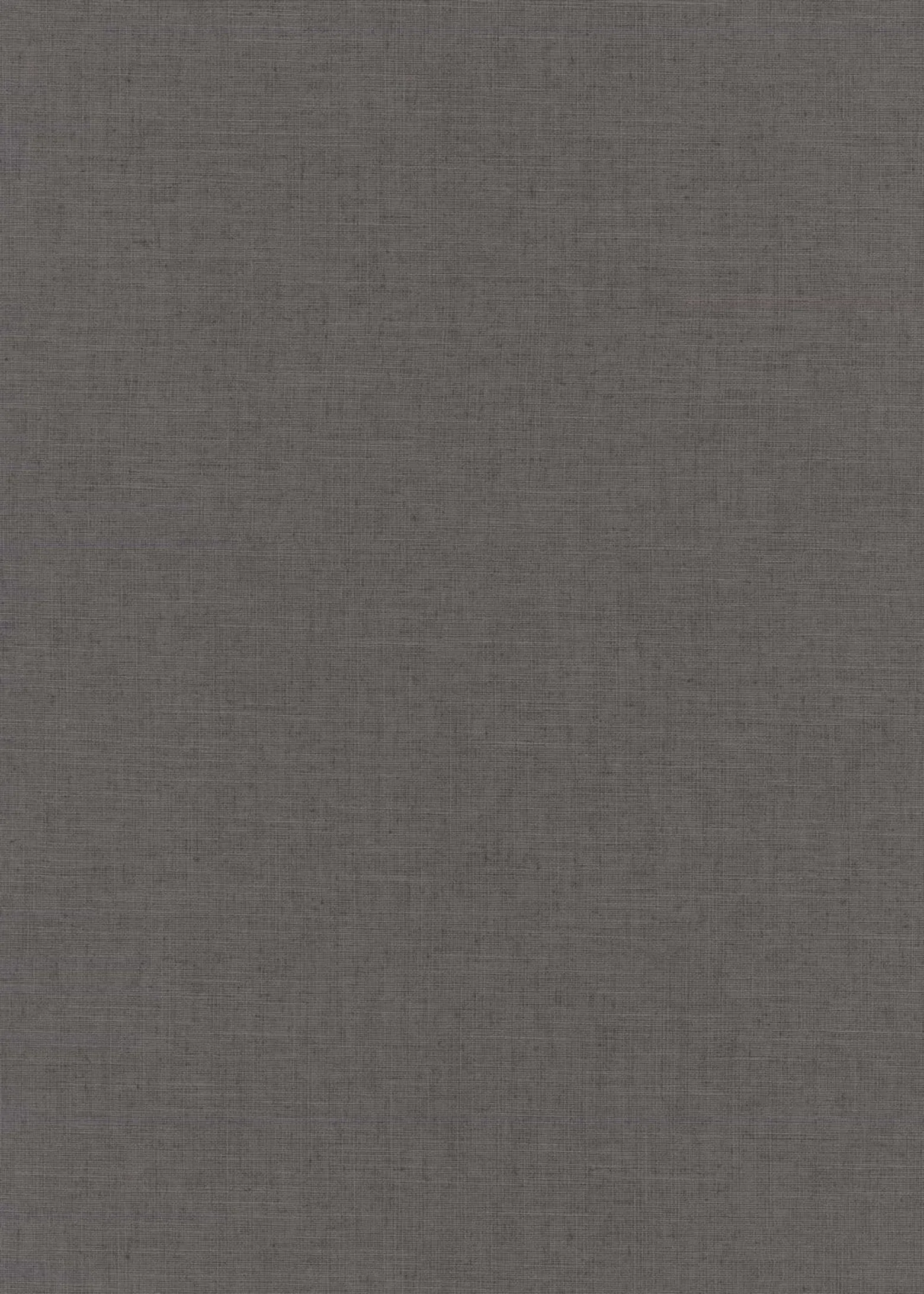 Vliestapete Grau Uni 10262-10 Casual Chic Erismann