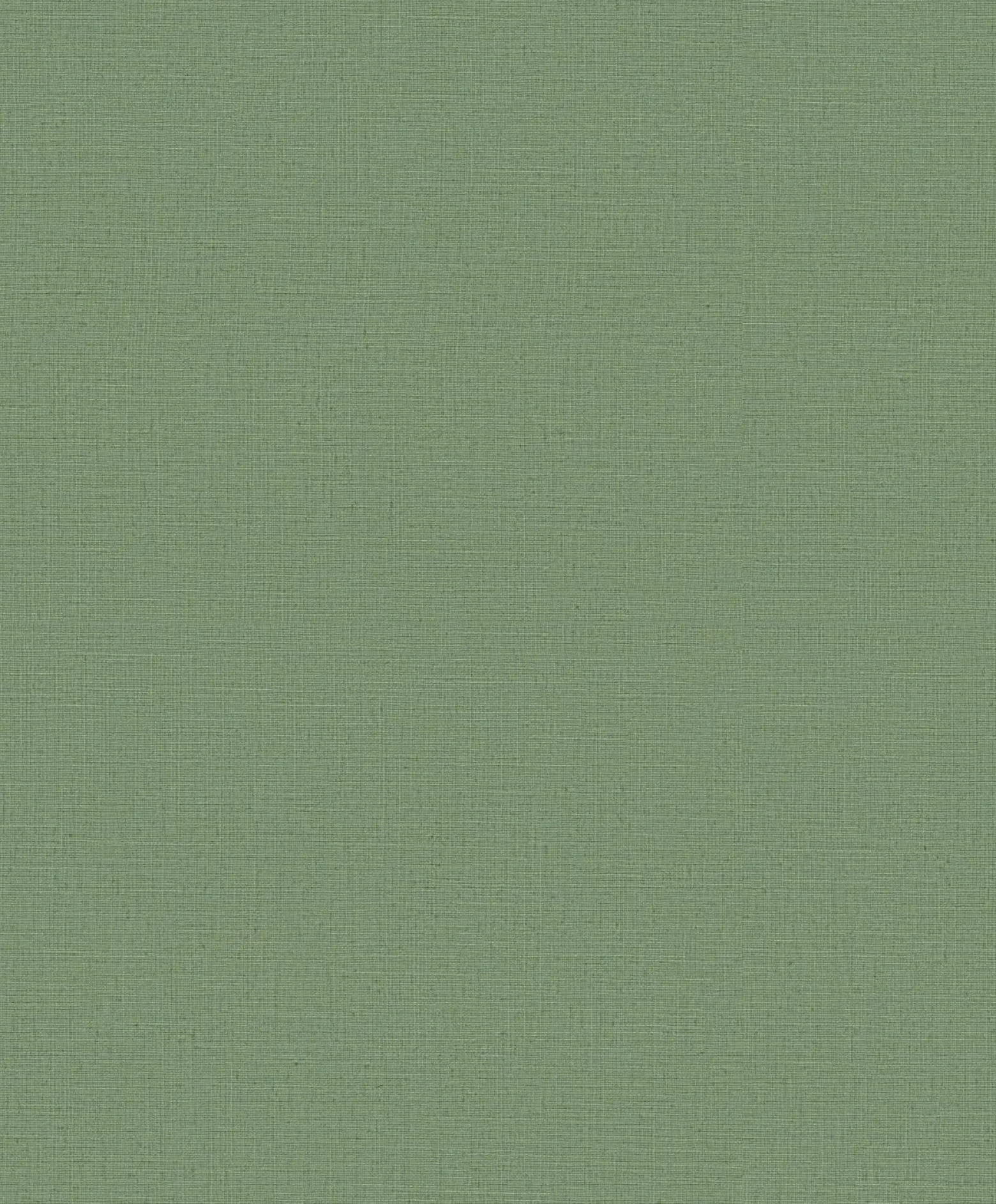Vliestapete Grün Uni 10262-07 Casual Chic Erismann