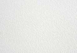 Vliestapete Marburger Decke feine Struktur weiß 73309