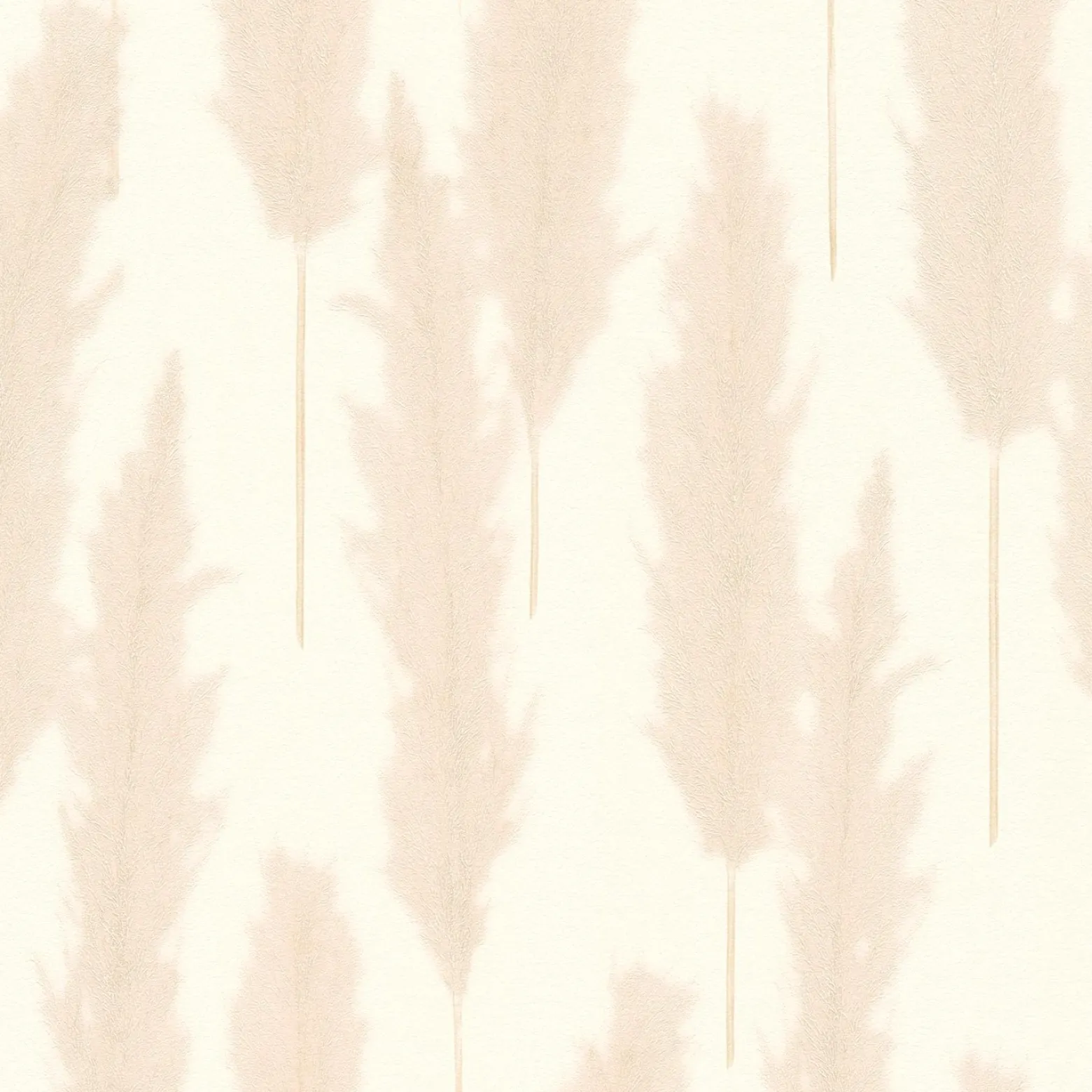 Vliestapete Pampasgras Weiß Beige 38631-2