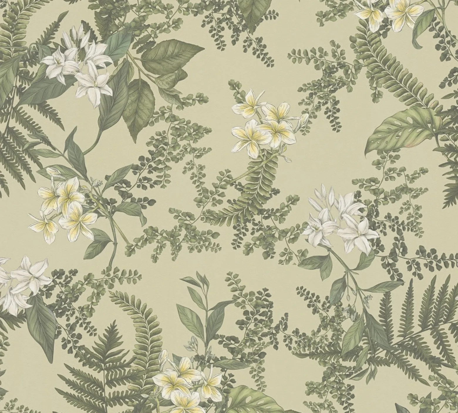Vliestapete Pflanzen Floral Blumen Grün Weiß 39424-1