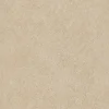 Vliestapete Putz Optik Creme Beige Gold Glitzer A61504