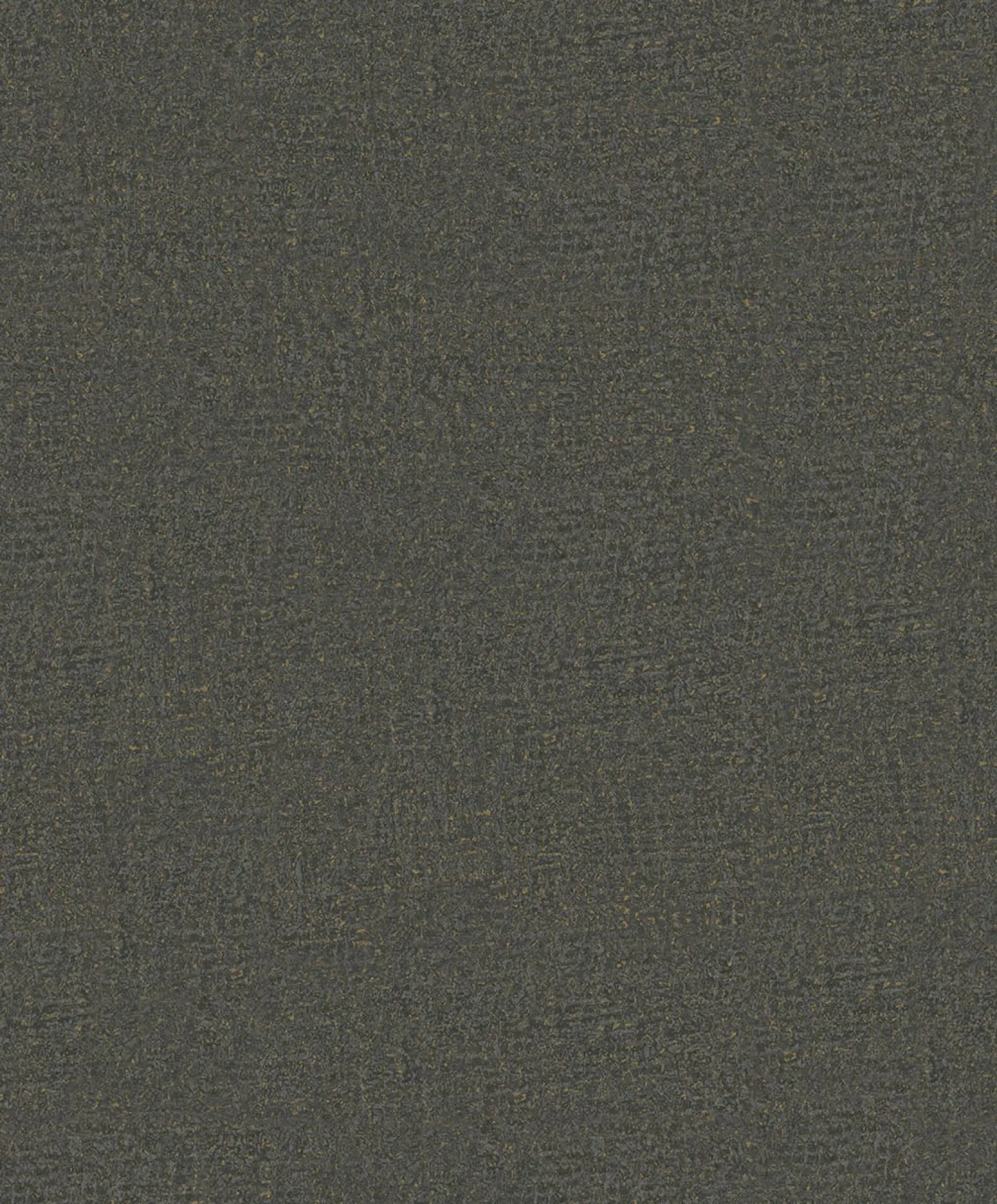 Vliestapete Putzoptik Shabby Industrial Anthrazit 35520