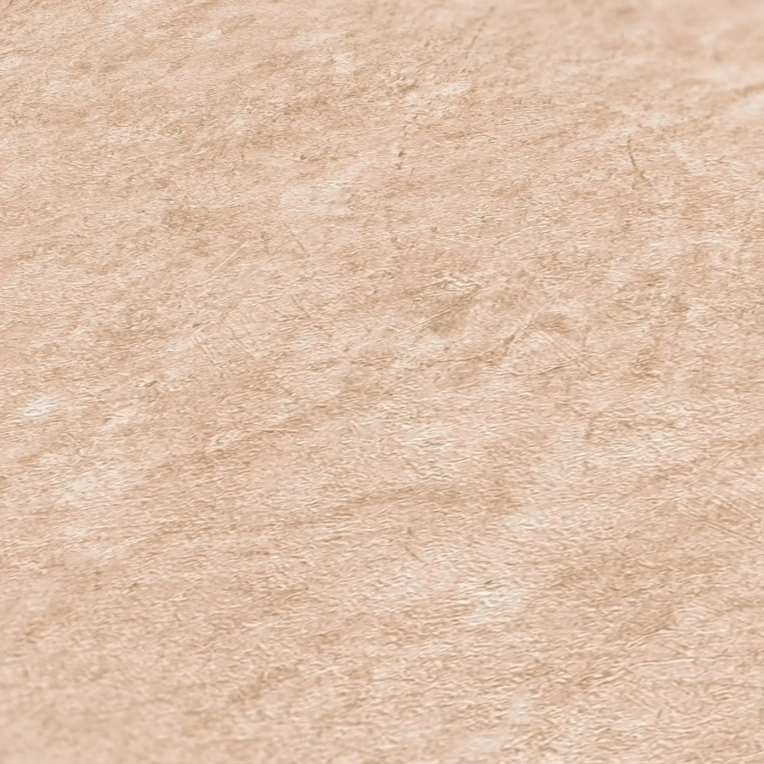 Vliestapete Putz Optik Struktur Braun Beige 39223-4