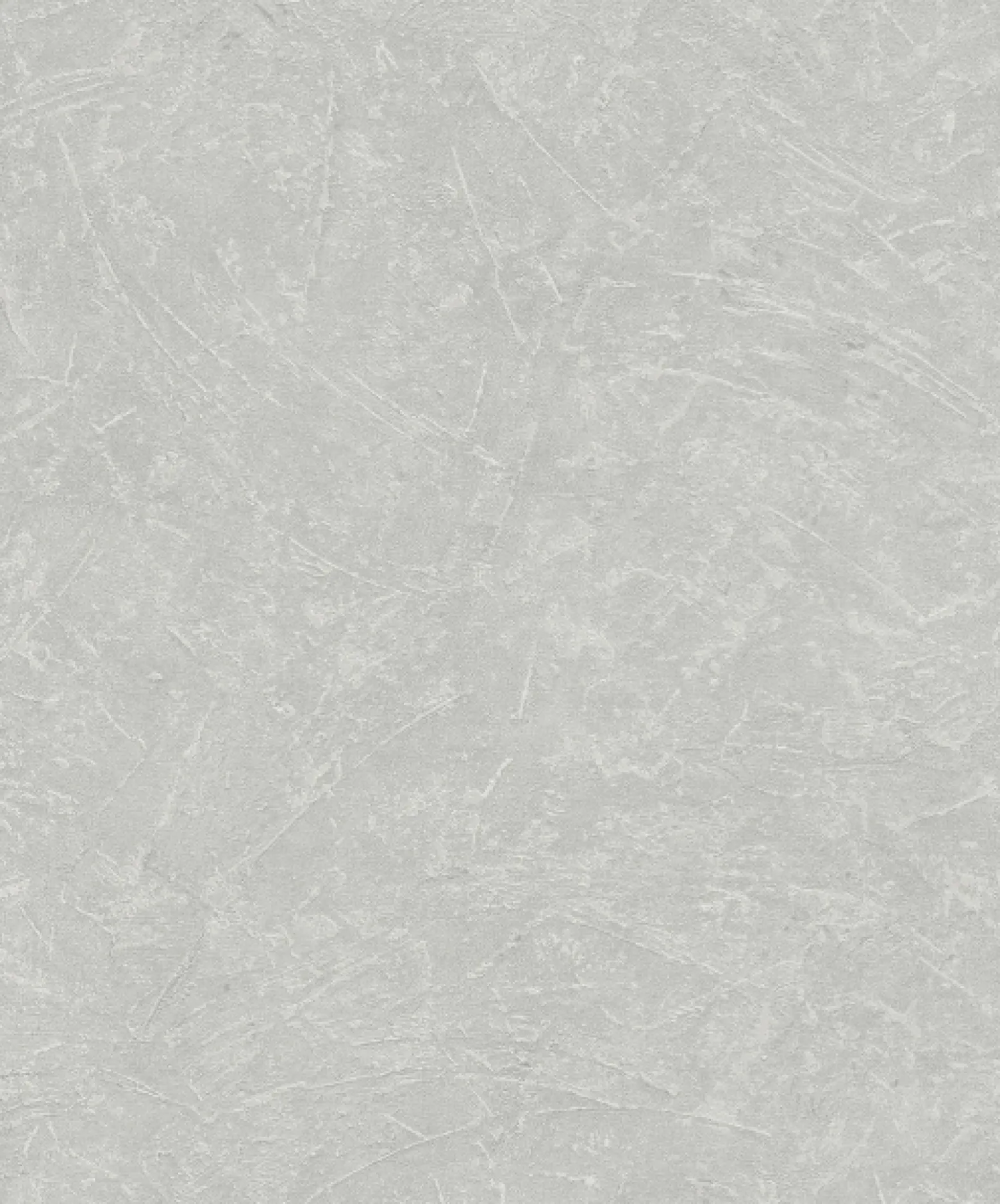 Vliestapete Putz-Optik Struktur Metallic grau weiß 32815