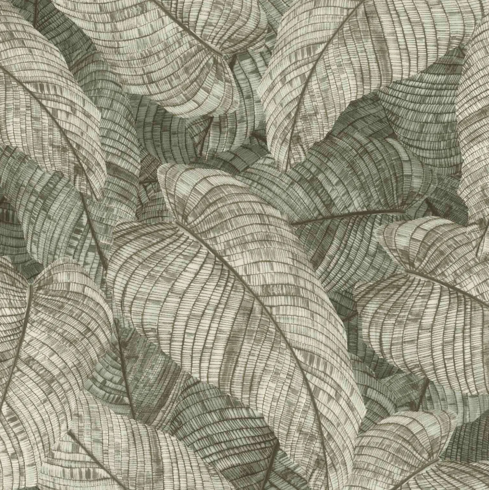 Vliestapete Rasch Blätter Floral Grün Grau 720549