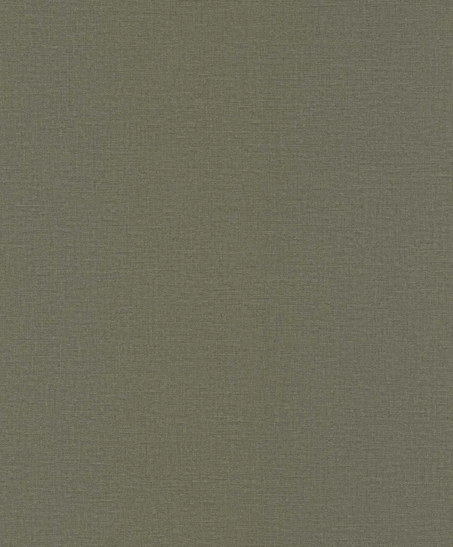 Vliestapete Rasch Einfarbig Khaki 555943 Lirico