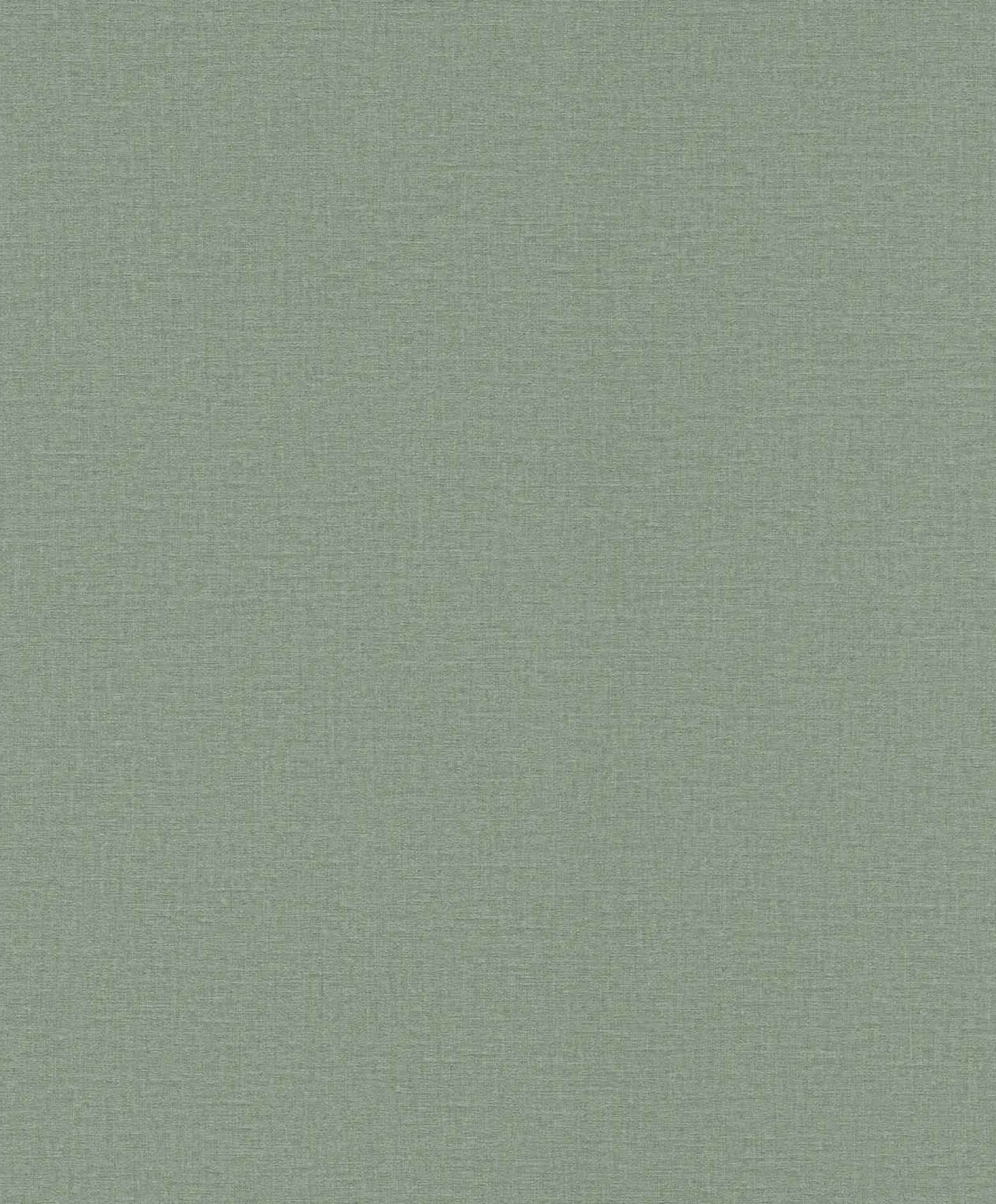 Vliestapete Rasch Einfarbig Grün 555936 Lirico