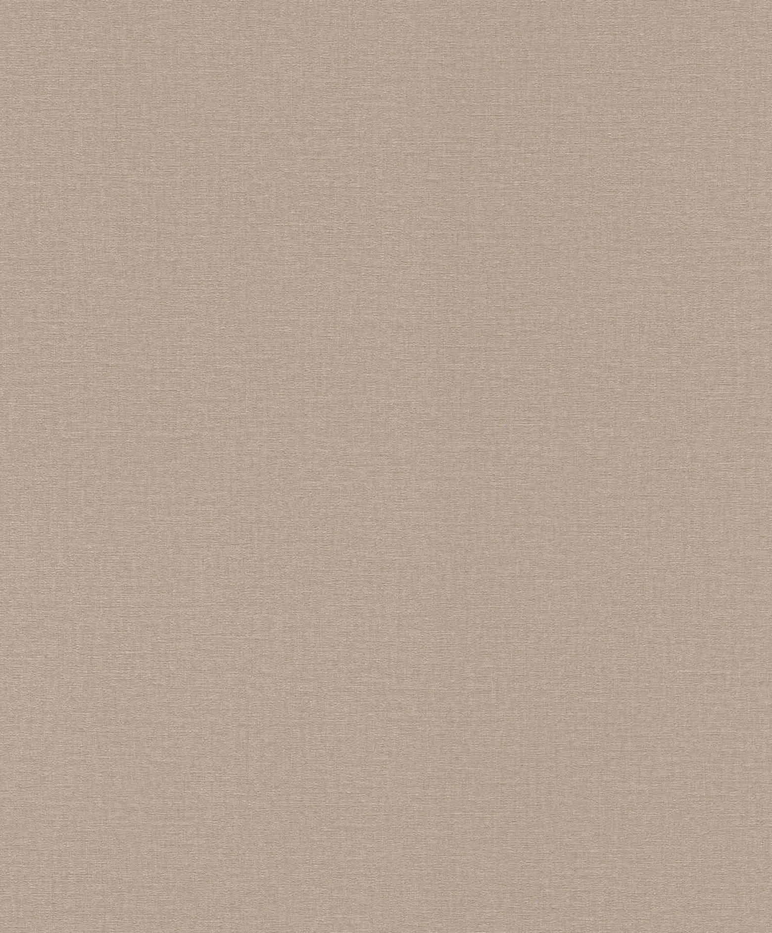 Vliestapete Rasch Einfarbig Taupe 555868 Lirico