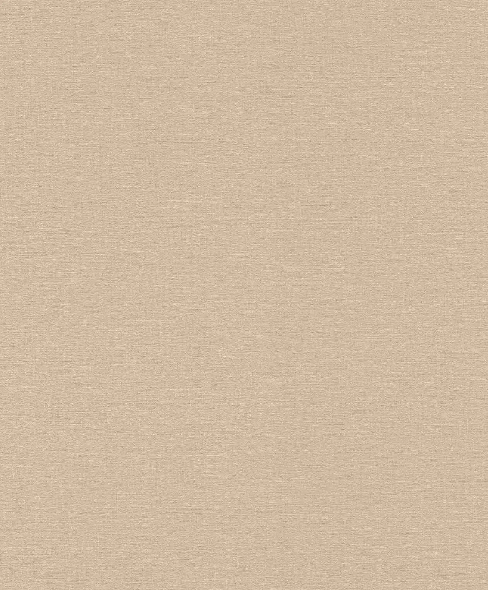 Vliestapete Rasch Einfarbig Beige 555882 Lirico