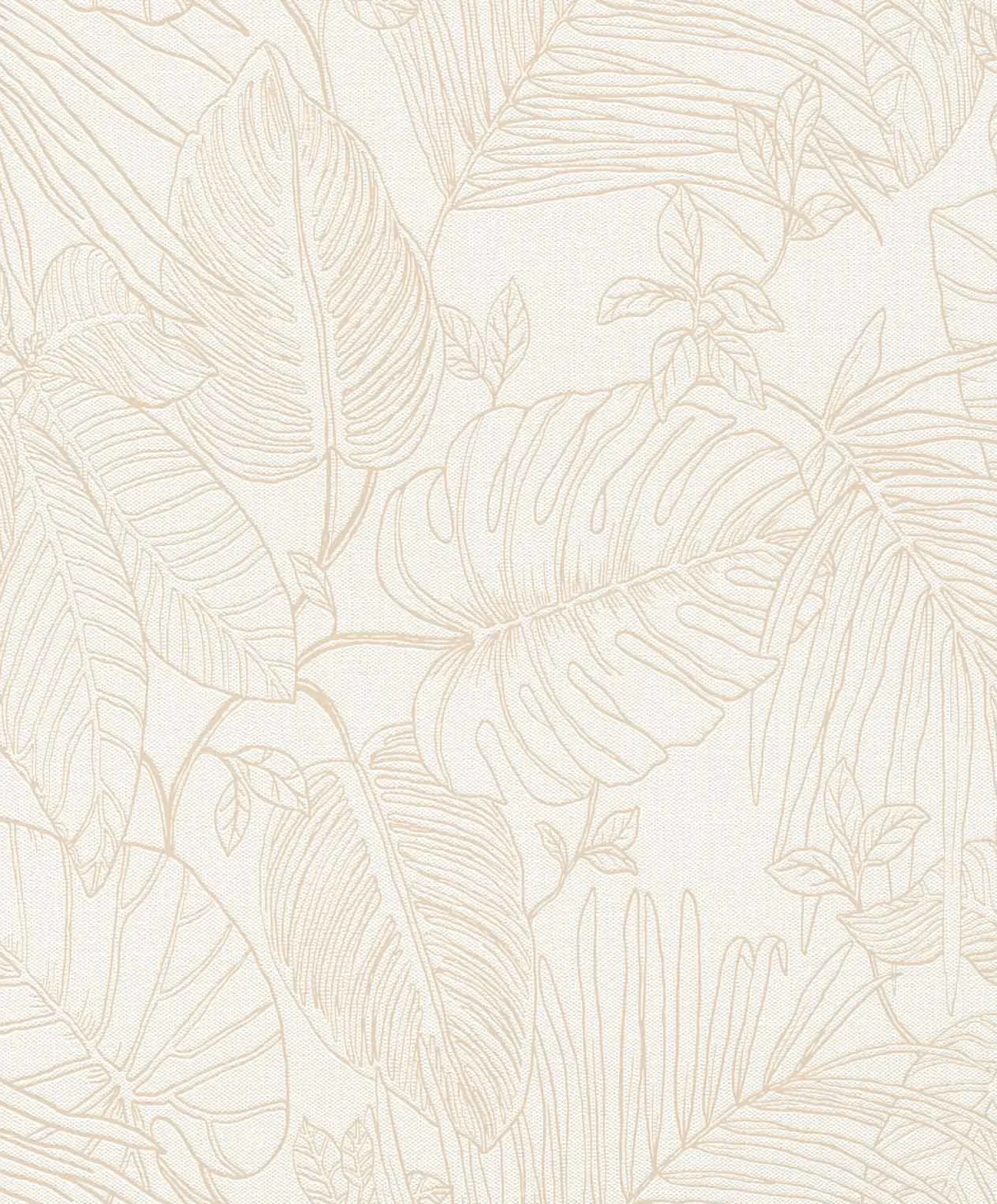 Vliestapete Rasch Farne Blätter Weiß Beige 690804