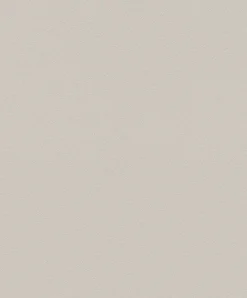 Vliestapete Rasch Flitter Greige Silber Glitzer 523188
