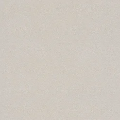 Vliestapete Rasch Putz-Optik cremebeige 479430