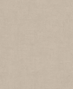 Vliestapete Rasch Uni Struktur taupe 489934
