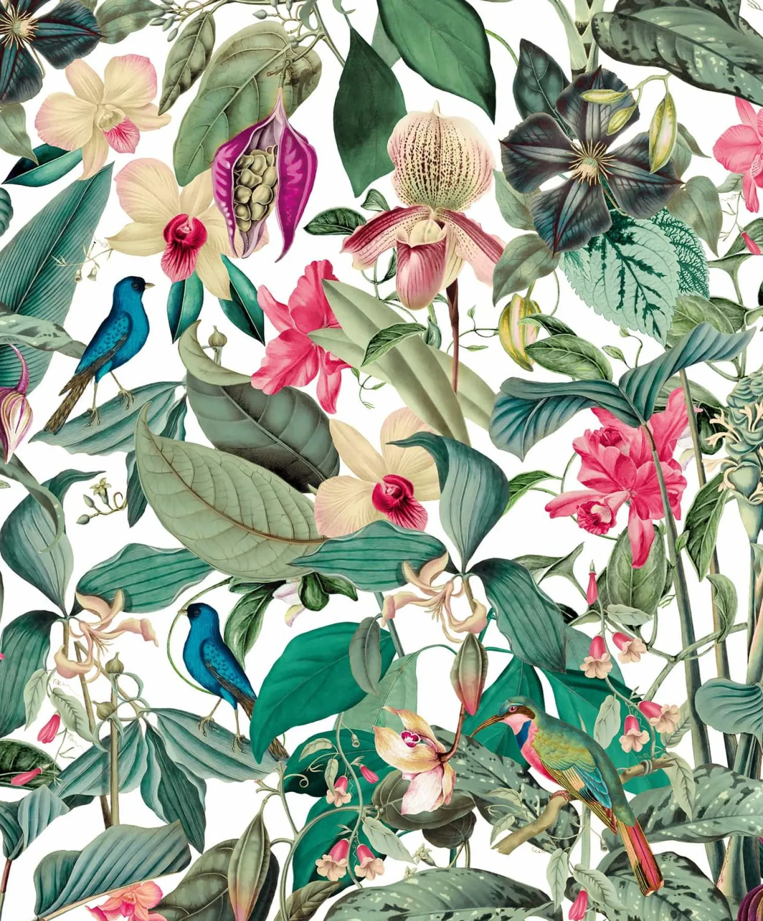 Vliestapete Tropisch Floral Weiß Grün Rosa 81686