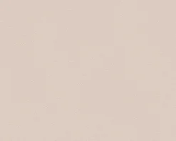 Vliestapete Uni-Design beige 3091-50