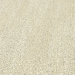 Vliestapete Uni Putzoptik Industrial Beige 10534-02