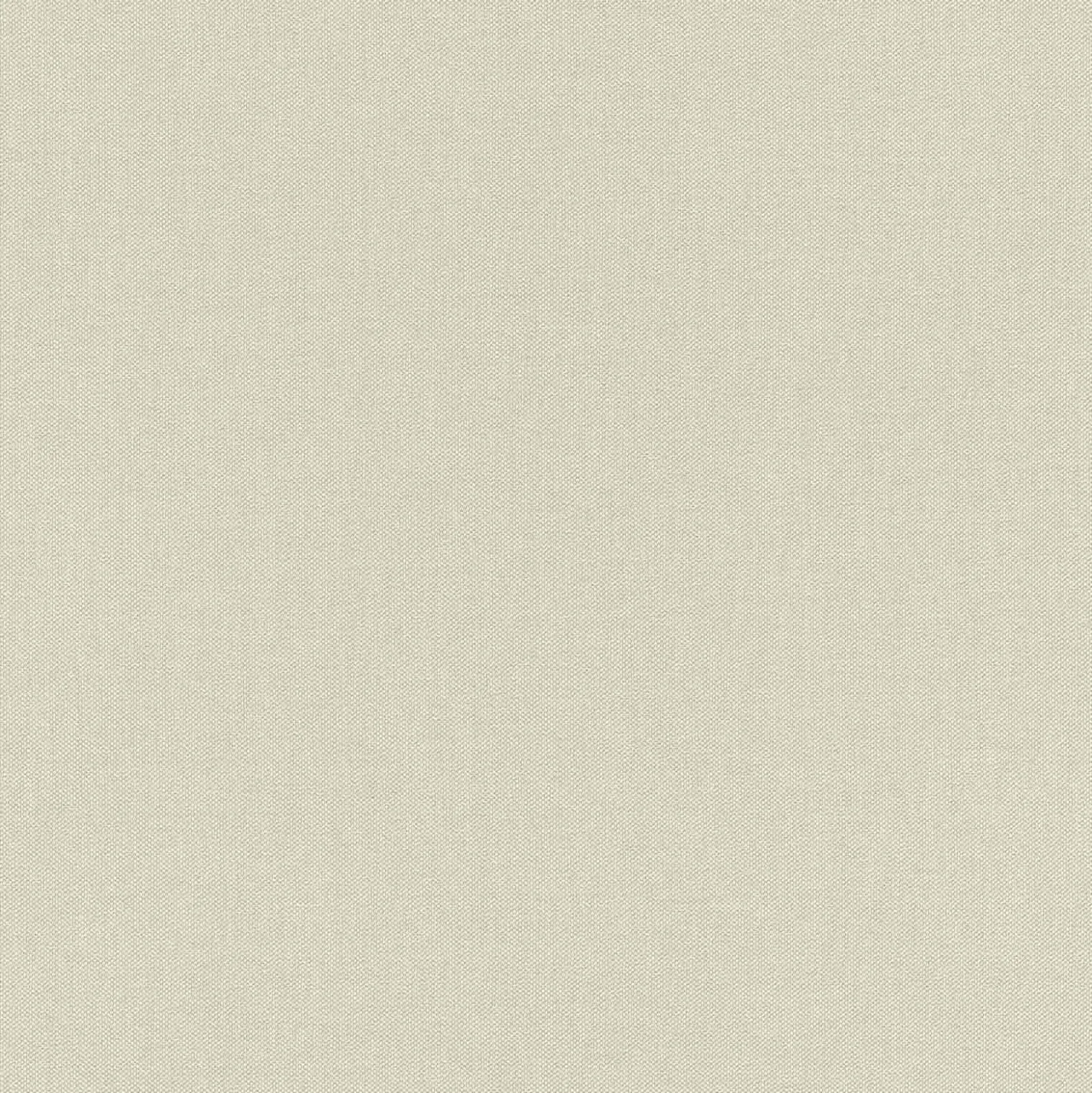 Vliestapete Uni taupe 423914