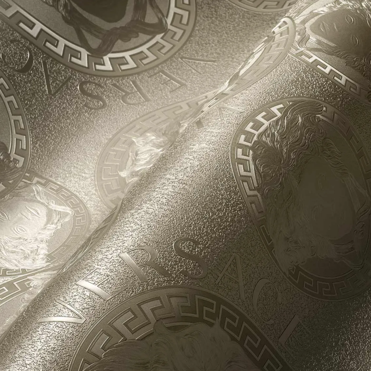 Vliestapete Versace Silber Logo Medusa 38461-3